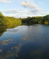 Ondulación en el tiempo